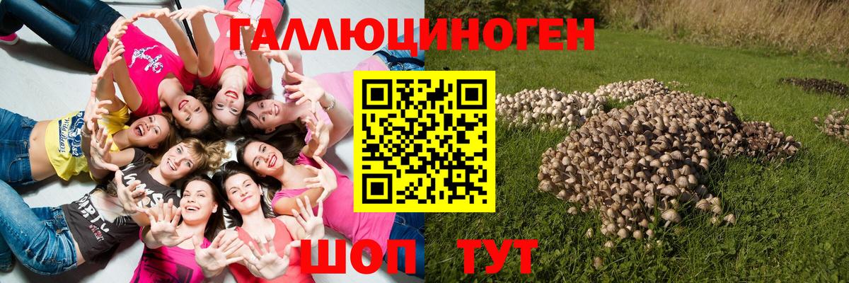закладки  Галлюциногенные грибы GOLDEN TEACHER  Вход с VPN  Тавда  Псилоцибиновые грибы мухоморы 